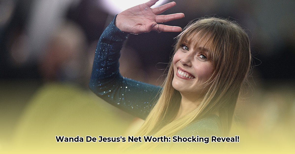 wanda-de-jesus-net-worth
